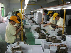 检品工厂一站式服务 包装、配送与家政支持一体解决方案