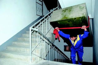 商丘家政服务 专业与便捷，提升家庭生活品质